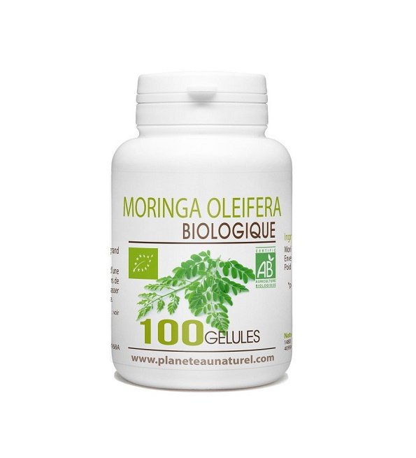 moringa-oleifera-bio-1-1